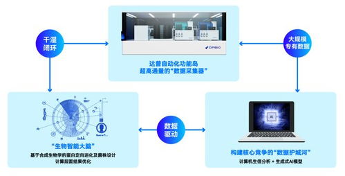 港科大孵化項目獲上海國資青睞，AI合成生物與網絡技術轉讓成投資亮點